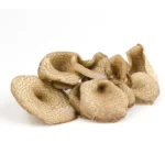 Kradang Mushroom 100g