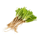 Coriander Roots 100g