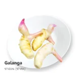 Galanga 200g