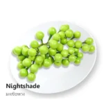 Nightshade 100g