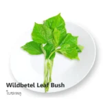 Wildbetel Leaf 100g