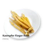 Kaempfer  Finger Root 100g