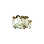 King Oyster Mushroom 100g