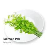 Phak Wan 100g