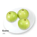 Guava  (Price Per Kg)