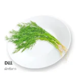 Dill 100g