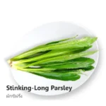 Stinking Parsley 100g