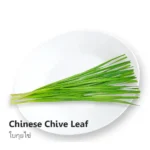 Chinese Chive 100g