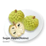 Apple Custard (Price Per Kg)