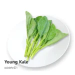 Young Chinese Kale 200g