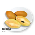 Sapodilla 500g