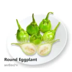 Roung Eggplant 200g