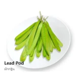 Lead Tree (Young Pod) 100g