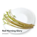 Red Morning Glory 200g