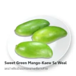Sweet Green Mango Kaew Sa Weal kg