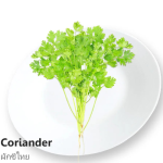 Coriander 100g