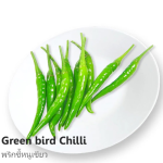 Green Chilli kg