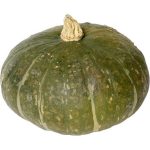 Kabocha Pumpkin