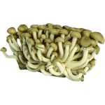 Brown Shimeji Mushroom 150g